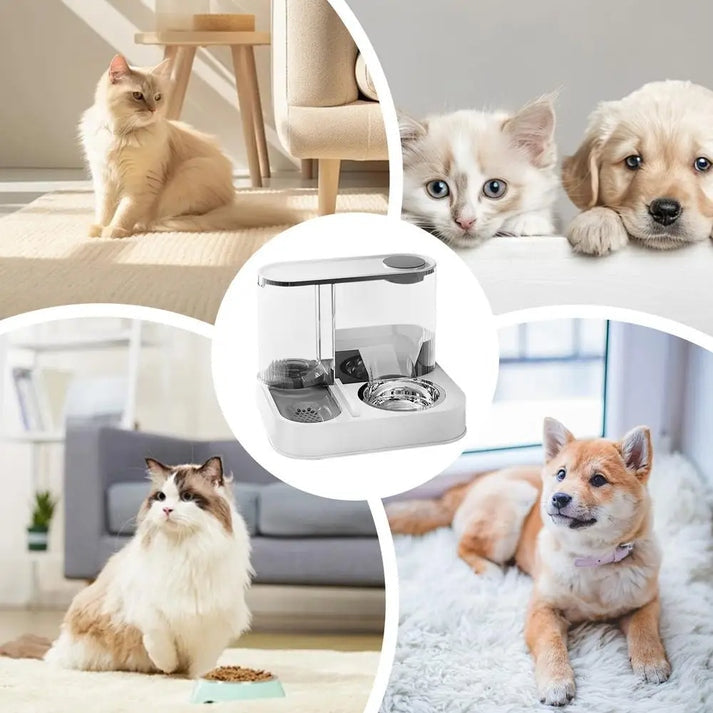 2 In 1 Automatic Cat/Dog Feeder, Automatic 2-in-1 Dry Food & Water/Storage Dispenser