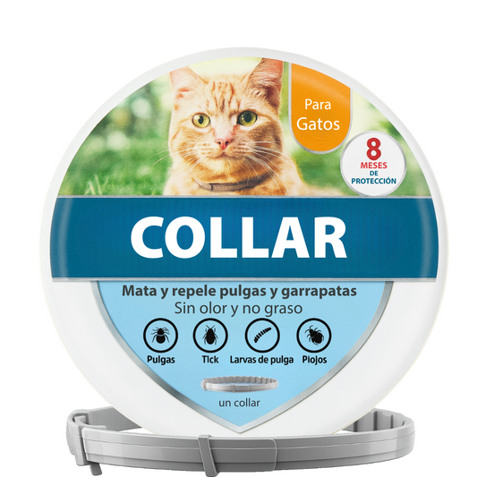 Collar para gato