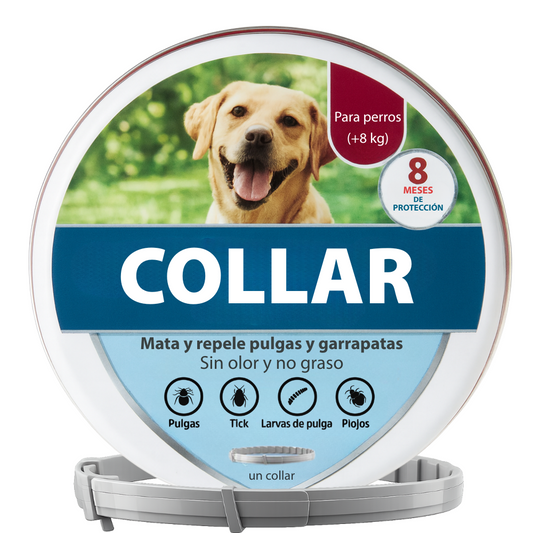 Collar para perro grande