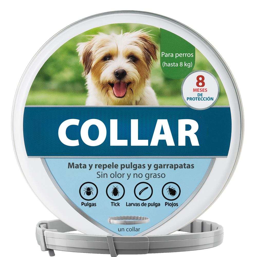 Collar para perro pequeño