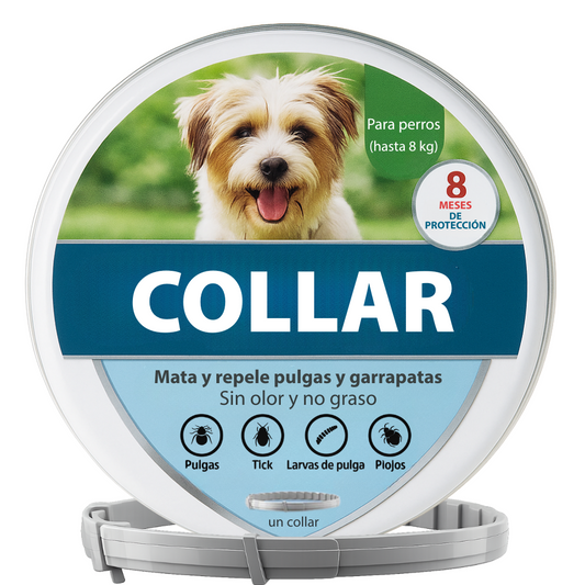 Collar para perro pequeño